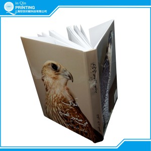 Rich Binding Hardcover Book Printing with Case